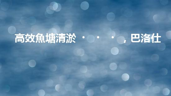 高效魚塘清淤，巴洛仕設備助力生態(tài)養(yǎng)殖